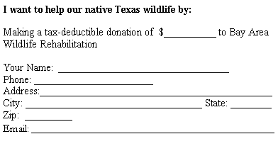 Text Box: I want to help our native Texas wildlife by:Making a tax-deductible donation of  $__________ to Bay Area Wildlife RehabilitationYour Name:  _________________________________Phone: _______________________Address:_____________________________________________City: __________________________________ State: ________ Zip:  _________Email: _______________________________________________